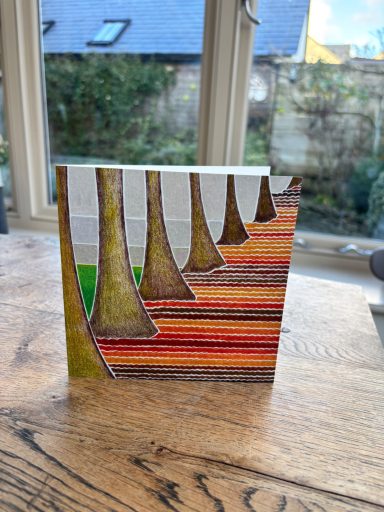 MT137 - autumn walk (new for Jan 2026)